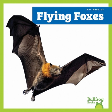 Flying Foxes by Lily Austen 9798896621935