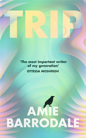 Trip by Amie Barrodale 9781787335943