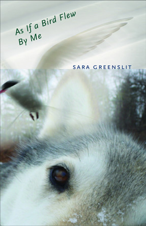As If a Bird Flew By Me by Sara Greenslit 9781573661645