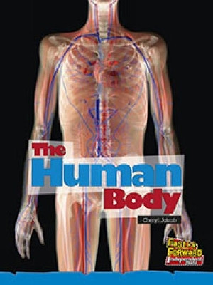 The Human Body by Cheryl Jakab 9780170179348