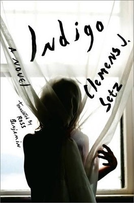 Indigo: A Novel by Clemens J. Setz 9780871402684