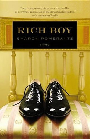 Rich Boy by Sharon Pomerantz 9780446563192