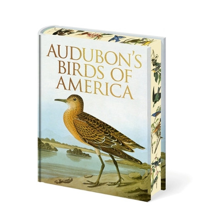 Audubon's Birds of America by John James Audubon 9781398859197