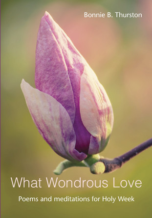 What Wondrous Love: Poems and meditations for Holy Week by Bonnie B. Thurston 9781804324103
