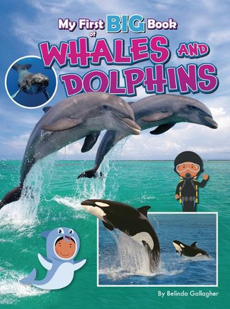 My First Big Book of Whales and Dolphins by Belinda Gallagher 9781788566339