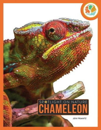 Chameleon by Jen Frantz 9798896800293
