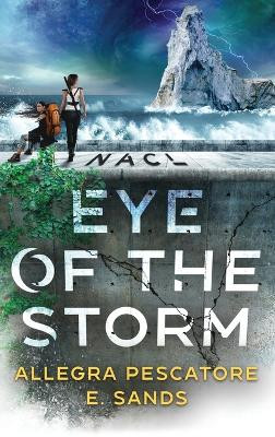 Nacl: Eye of the Storm by Allegra Pescatore 9781952348037