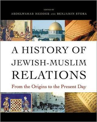 A History of Jewish-Muslim Relations: From the Origins to the Present Day by Abdelwahab Meddeb 9780691151274