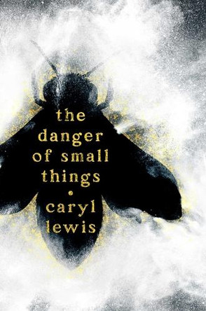 The Danger of Small Things by Caryl Lewis 9781665977517