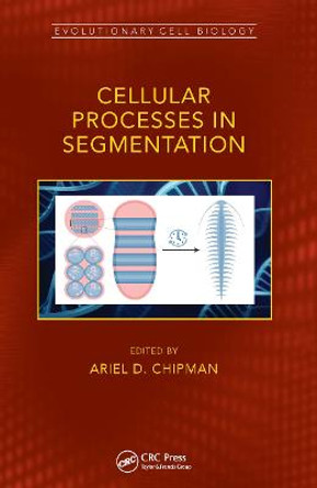 Cellular Processes in Segmentation by Ariel Chipman