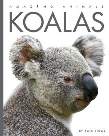 Koalas by Valerie Bodden