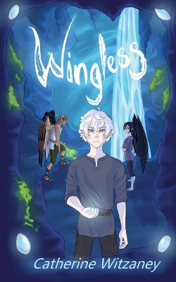 Wingless by Catherine Witzaney 9781953743329