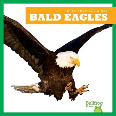 Bald Eagles by Rachel Grack 9798892131025