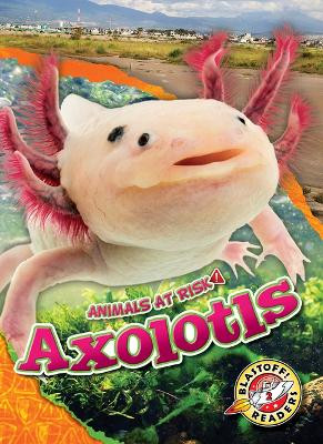 Axolotls by Rachel Grack 9798886871180
