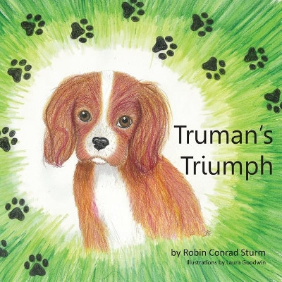 Truman's Triumph by Robin Conrad Sturm 9781935355298