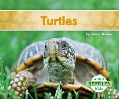 Turtles by Grace Hansen 9781629700625