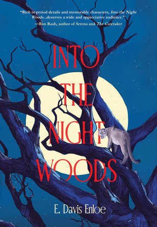 Into the Night Woods by E. Davis Enloe 9781646036684