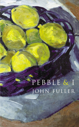 Pebble & I by Professor John Fuller 9780701184919