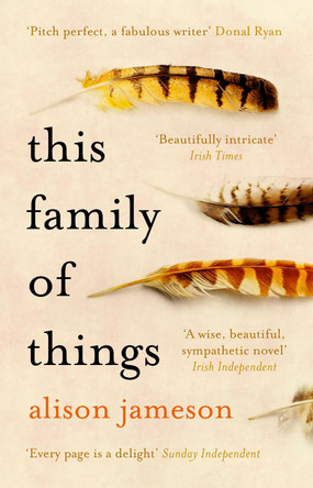 This Family of Things by Alison Jameson 9781784163266