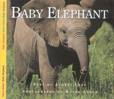 Baby Elephant by Aubrey Lang 9781550417173