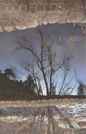 1000 Folds by Joe Ross 9780989431675