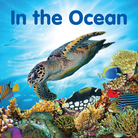 In the Ocean: Board book by New Holland Publishers 9781760795344