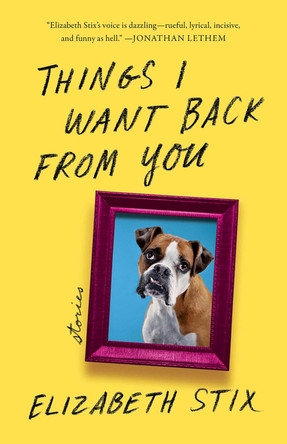 Things I Want Back from You by Elizabeth Stix 9781625570741