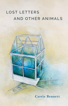 Lost Letters and Other Animals by Carrie Bennett 9781625578310