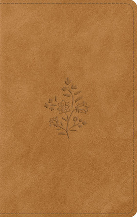 ESV Giant Print Personal Size Bible 9798874906436