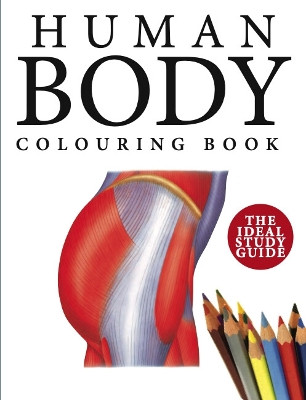 Human Body Colouring Book: Human Anatomy in 215 Illustrations by Peter Abrahams 9781838863050