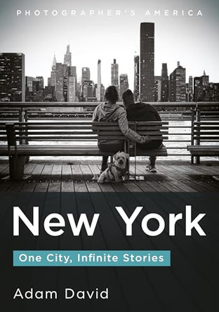 New York: One City, Infinite Stories by Adam David 9781634996006