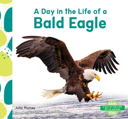 Day in the Life of a Bald Eagle by Julie Murray 9798384907282