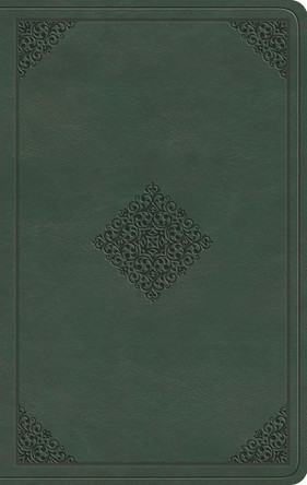 ESV Large Print Value Thinline Bible 9798874909024