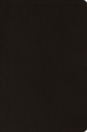 ESV Compact Bible 9798874907518