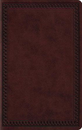 ESV Large Print Value Thinline Bible 9798874907822