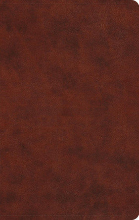 ESV Large Print Value Thinline Bible 9798874907808