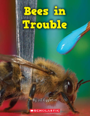 Bees in Trouble by Joseph Nunweek 9781407126456