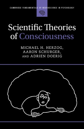 Scientific Theories of Consciousness by Michael H. Herzog 9781009244725