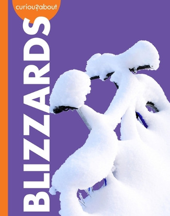 Curious about Blizzards by Rachel Grack 9798892009010