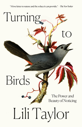 Turning to Birds: The Power and Beauty of Noticing by Lili Taylor 9780593728598