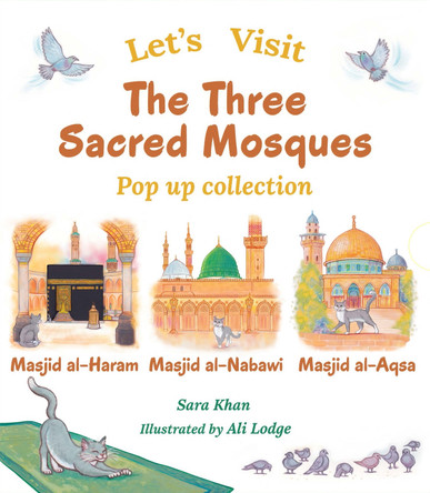 Let's Visit... Box Set by Sara Khan 9781835920268