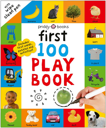 First 100 Play Book: A first words wipe-clean activity book by Priddy Books 9781917069212