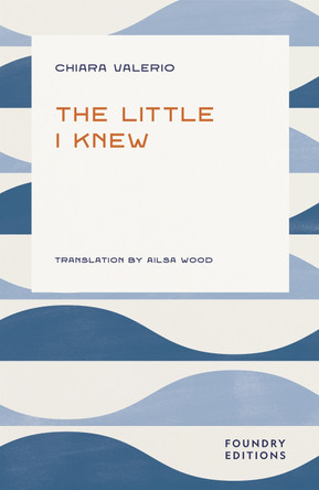 The Little I Knew by Chiara Valerio 9781068693489