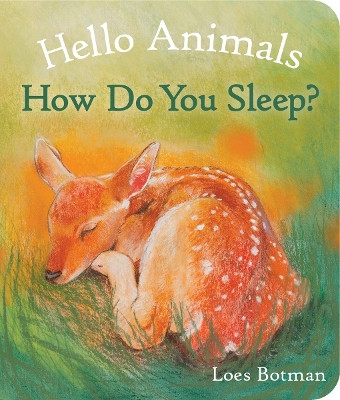Hello Animals, How Do You Sleep? by Loes Botman 9781782505518