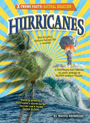 Hurricanes by Marcia Abramson 9798888221617