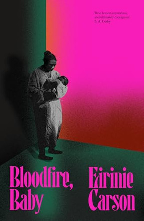 Bloodfire, Baby: a gothic tale about motherhood, ghosts and heritage by Eirinie Carson 9781835986684