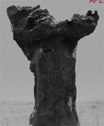 Double Reality by Tom Callemin 9789083519968