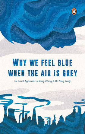 Why We Feel Blue When the Air is Grey by Dr Sumit Agarwal, Dr Long Wang, Dr Yang Yang 9789815017861