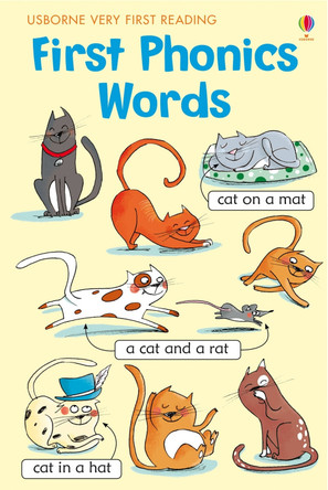 VFR First Phonics Words by  9781409550488
