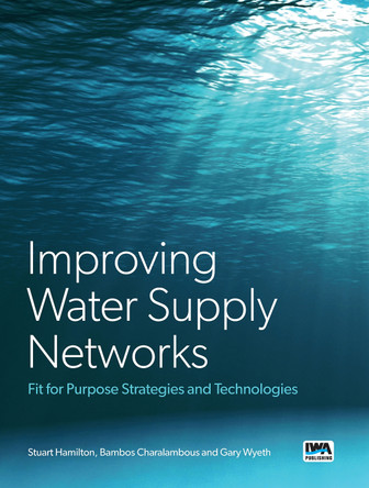 System Losses from Water Supply Networks by Stuart Hamilton 9781780409191